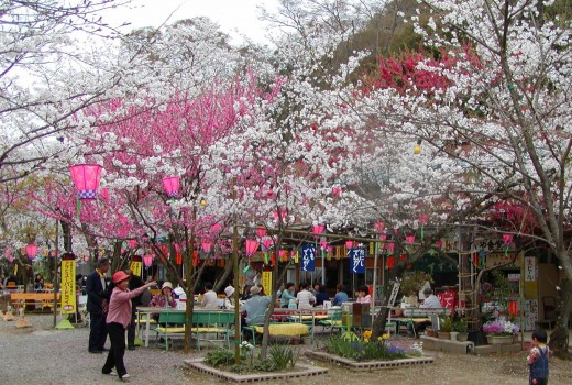 桃太郎公園 犬山觀光信息