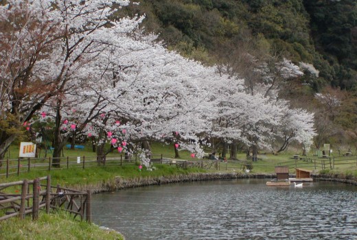 桃太郎公園 犬山觀光信息