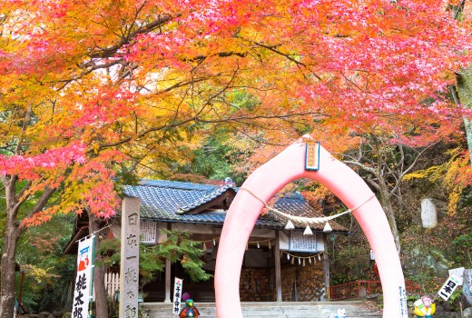 桃太郎公園 犬山観光情報